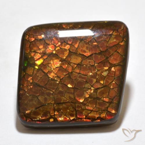 20.34ct 자연스러운 다색 암몰라이트, 팬시한, 불투명체