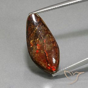 11.37ct 자연스러운 다색 암몰라이트, 팬시한, 불투명체