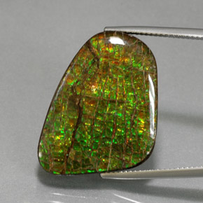 21.28캐럿 천연 멀티컬러 암몰라이트, 멋진 모양, 26.9×19.4 mm, 불투명체