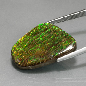 21.28캐럿 천연 멀티컬러 암몰라이트, 멋진 모양, 26.9×19.4 mm, 불투명체