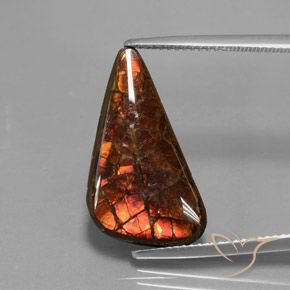 8.81캐럿 천연 멀티컬러 암몰라이트, 멋진 모양, 21.9×11.8 mm, 불투명체