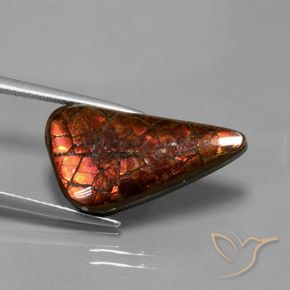 8.81캐럿 천연 멀티컬러 암몰라이트, 멋진 모양, 21.9×11.8 mm, 불투명체