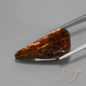 8.81캐럿 천연 멀티컬러 암몰라이트, 멋진 모양, 21.9×11.8 mm, 불투명체