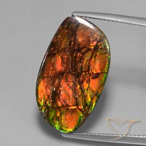 13.27ct 자연스러운 다색 암몰라이트, 팬시한, 불투명체