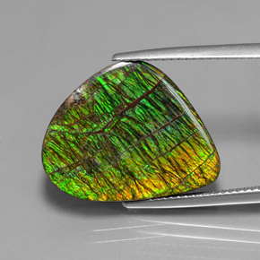 12.97캐럿 천연 멀티컬러 암몰라이트, 멋진 모양, 20.7×16.2 mm, 불투명체