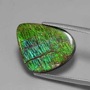 12.97캐럿 천연 멀티컬러 암몰라이트, 멋진 모양, 20.7×16.2 mm, 불투명체