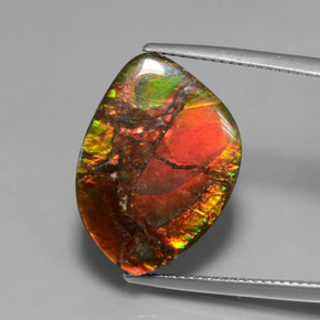 13.21캐럿 천연 멀티컬러 암몰라이트, 멋진 모양, 20.5×14.5 mm, 불투명체