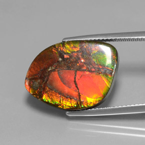13.21캐럿 천연 멀티컬러 암몰라이트, 멋진 모양, 20.5×14.5 mm, 불투명체