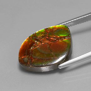 13.21캐럿 천연 멀티컬러 암몰라이트, 멋진 모양, 20.5×14.5 mm, 불투명체