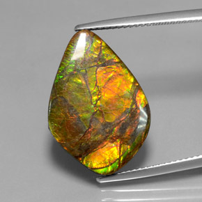 10.41캐럿 천연 멀티컬러 암몰라이트, 멋진 모양, 21.4×14.9 mm, 불투명체