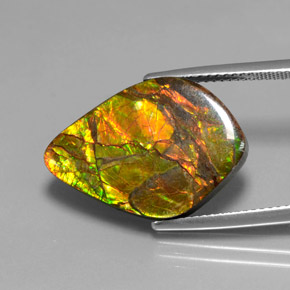10.41캐럿 천연 멀티컬러 암몰라이트, 멋진 모양, 21.4×14.9 mm, 불투명체