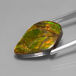 10.41캐럿 천연 멀티컬러 암몰라이트, 멋진 모양, 21.4×14.9 mm, 불투명체