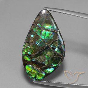 15.28ct 자연스러운 다색 암몰라이트, 팬시한, 불투명체