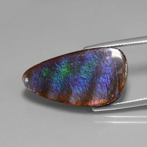 15.59캐럿 천연 다색 암몰라이트, 멋진 모양, 불투명체