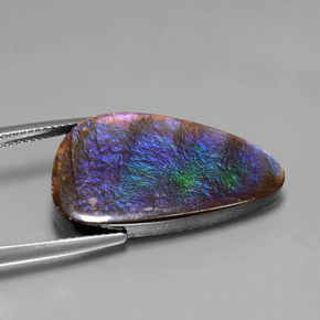 15.59캐럿 천연 다색 암몰라이트, 멋진 모양, 불투명체