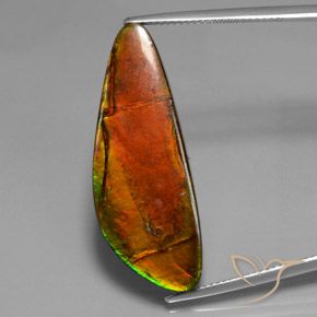 18.60ct 자연스러운 다색 암몰라이트, 팬시한, 불투명체