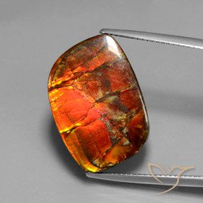 17.18ct 자연스러운 다색 암몰라이트, 팬시한, 불투명체