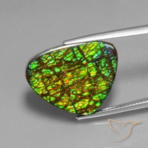 19.08ct 자연스러운 다색 암몰라이트, 일조, 불투명체