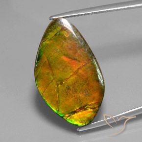 15.41ct 자연스러운 다색 암몰라이트, 팬시한, 불투명체