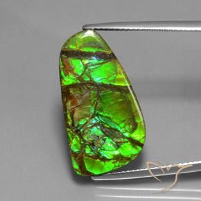 12.43ct 자연스러운 다색 암몰라이트, 팬시한, 불투명체