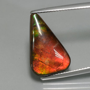 7.72캐럿 천연 멀티컬러 암몰라이트, 멋진 모양, 19.4×12.3 mm, 불투명체