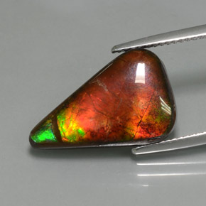 7.72캐럿 천연 멀티컬러 암몰라이트, 멋진 모양, 19.4×12.3 mm, 불투명체