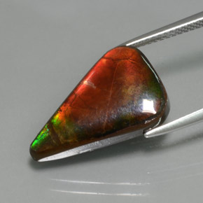 7.72캐럿 천연 멀티컬러 암몰라이트, 멋진 모양, 19.4×12.3 mm, 불투명체