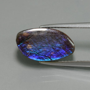 4.88캐럿 천연 다색 암몰라이트, 멋진 모양, 불투명체