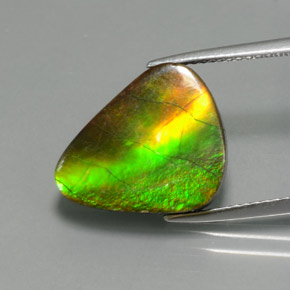 6.81캐럿 천연 멀티컬러 암몰라이트, 멋진 모양, 15×12.6 mm, 불투명체
