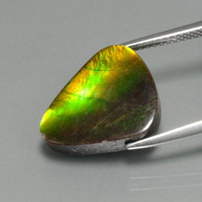 6.81캐럿 천연 멀티컬러 암몰라이트, 멋진 모양, 15×12.6 mm, 불투명체