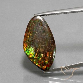10.29ct 자연스러운 다색 암몰라이트, 팬시한, 불투명체