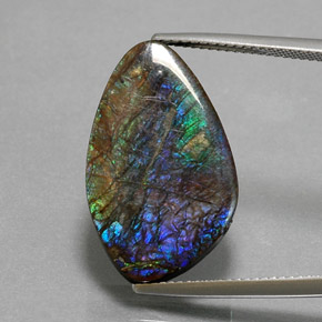 10.99캐럿 천연 멀티컬러 암몰라이트, 멋진 모양, 23.6×14.4 mm, 불투명체