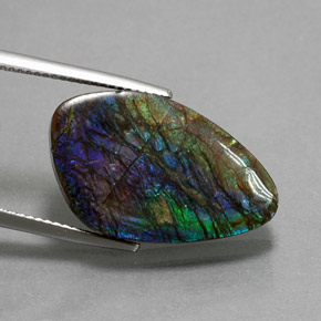 10.99캐럿 천연 멀티컬러 암몰라이트, 멋진 모양, 23.6×14.4 mm, 불투명체