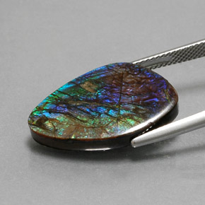 10.99캐럿 천연 멀티컬러 암몰라이트, 멋진 모양, 23.6×14.4 mm, 불투명체