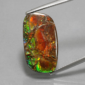 11.39캐럿 천연 멀티컬러 암몰라이트, 멋진 모양, 21.8×12.5 mm, 불투명체