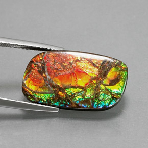 11.39캐럿 천연 멀티컬러 암몰라이트, 멋진 모양, 21.8×12.5 mm, 불투명체