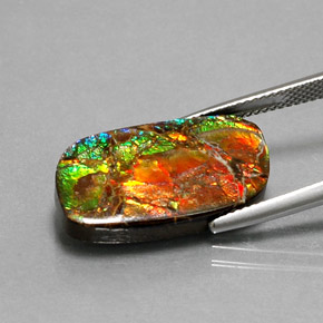 11.39캐럿 천연 멀티컬러 암몰라이트, 멋진 모양, 21.8×12.5 mm, 불투명체