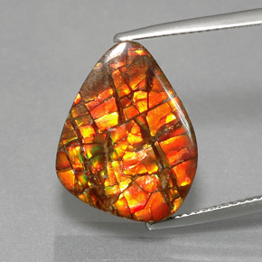 11.57캐럿 천연 멀티컬러 암몰라이트, 멋진 모양, 18.5×14.3 mm, 불투명체
