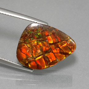 11.57캐럿 천연 멀티컬러 암몰라이트, 멋진 모양, 18.5×14.3 mm, 불투명체