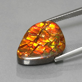 11.57캐럿 천연 멀티컬러 암몰라이트, 멋진 모양, 18.5×14.3 mm, 불투명체