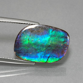 8.79캐럿 천연 멀티컬러 암몰라이트, 멋진 모양, 17.9×12.5 mm, 불투명체