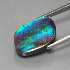 8.79캐럿 천연 멀티컬러 암몰라이트, 멋진 모양, 17.9×12.5 mm, 불투명체