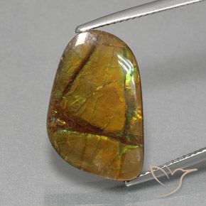 8.36ct 자연스러운 다색 암몰라이트, 팬시한, 불투명체