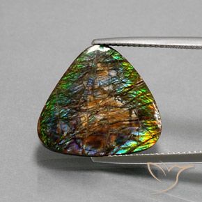12.33ct 자연스러운 다색 암몰라이트, 일조, 불투명체