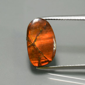 5.02캐럿 천연 다색 암몰라이트, 멋진 모양, 불투명체