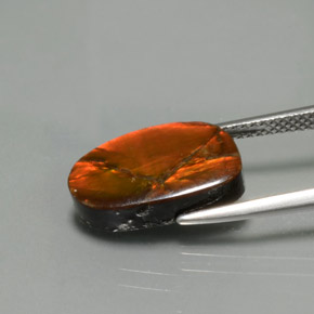 5.02캐럿 천연 다색 암몰라이트, 멋진 모양, 불투명체