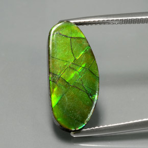6.87캐럿 천연 멀티컬러 암몰라이트, 멋진 모양, 21×9.5 mm, 불투명체