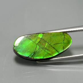 6.87캐럿 천연 멀티컬러 암몰라이트, 멋진 모양, 21×9.5 mm, 불투명체