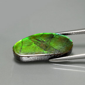 6.87캐럿 천연 멀티컬러 암몰라이트, 멋진 모양, 21×9.5 mm, 불투명체