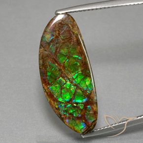 12.02ct 자연스러운 다색 암몰라이트, 팬시한, 불투명체